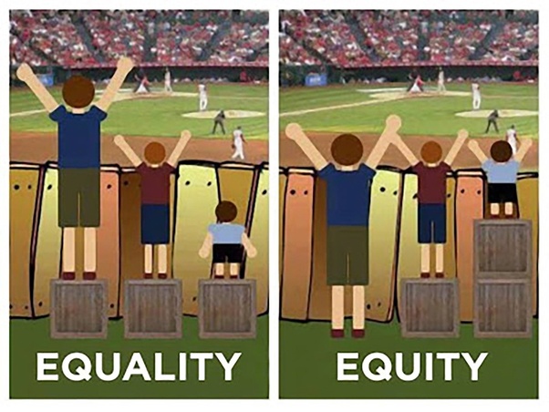 Article 6 equity