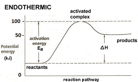 endothermic reaction 