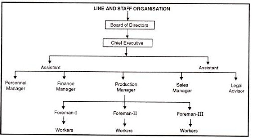 line and staff organization