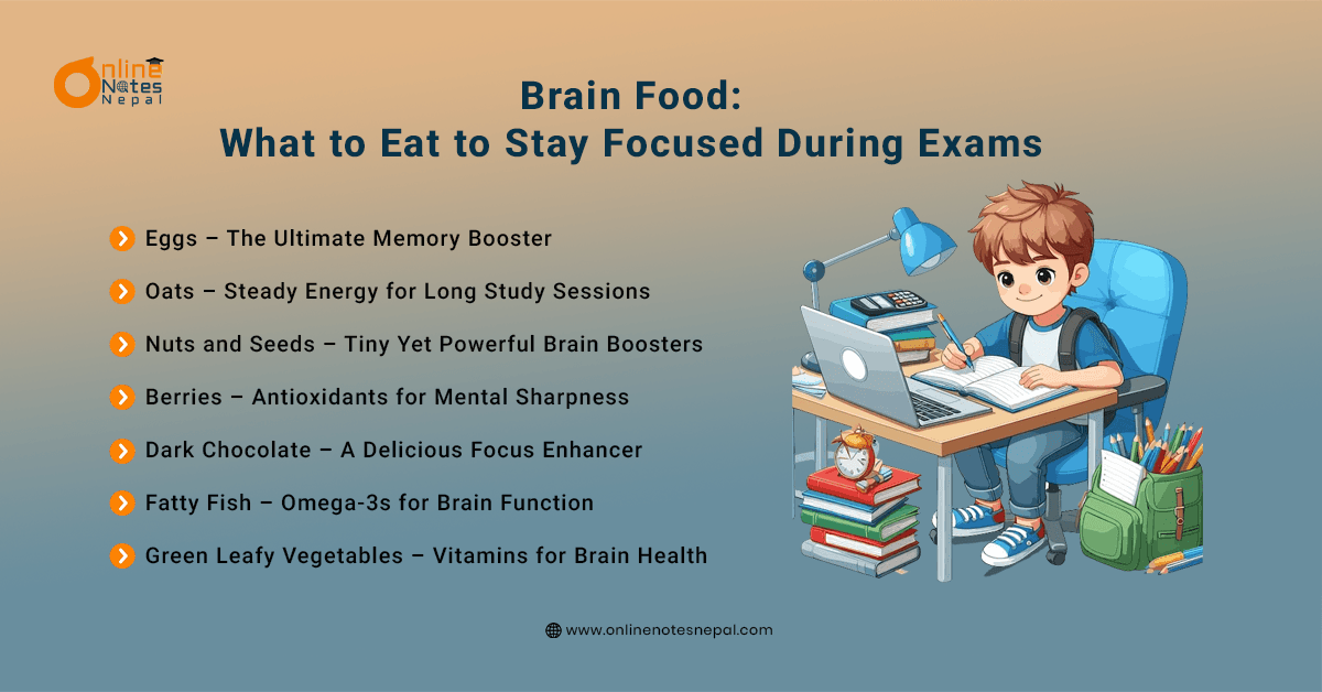 Brain Food: What to Eat to Stay Focused During Exams