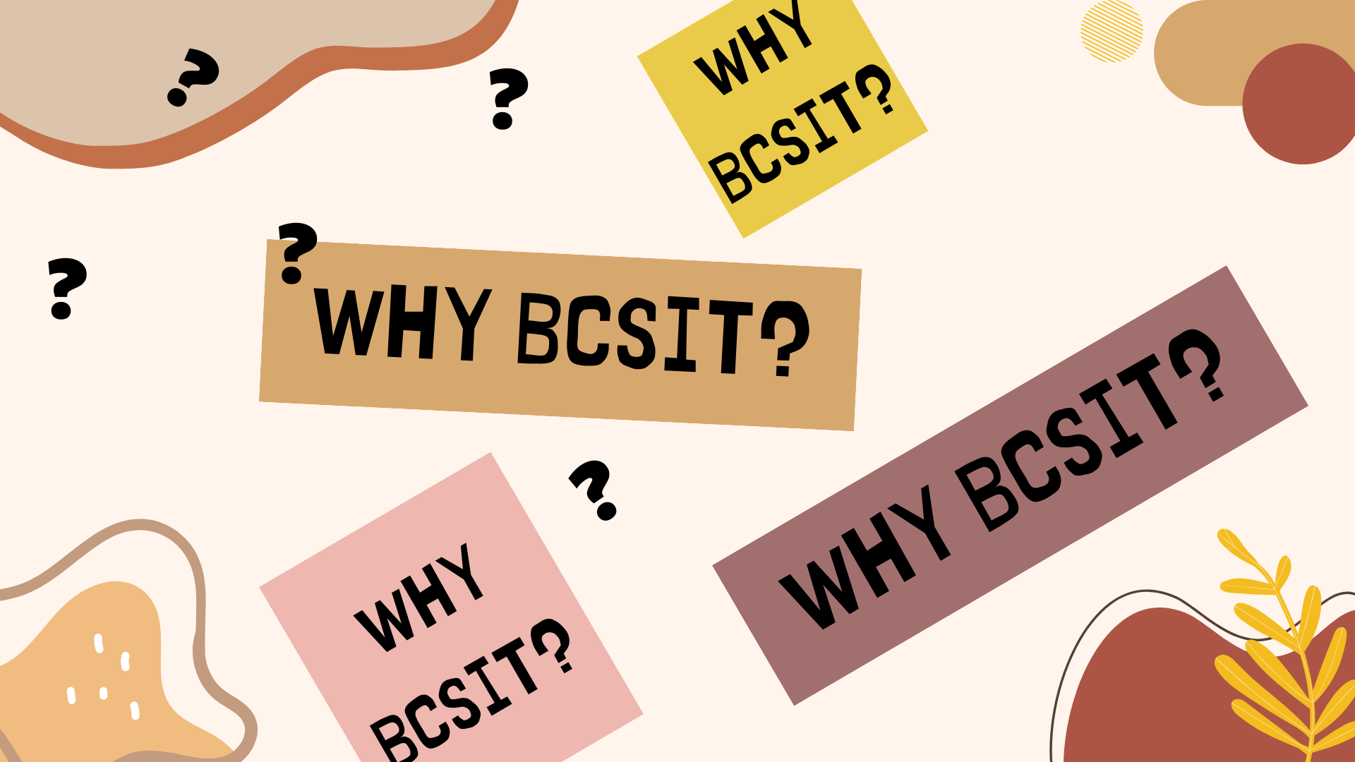 Why BCSIT?