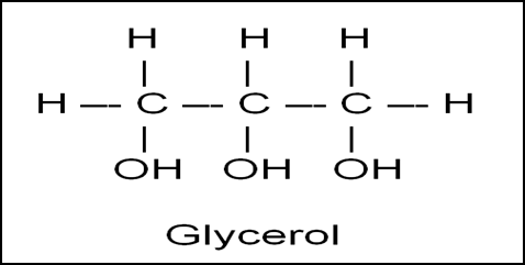 Carbon and its Compounds