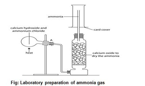 some gases