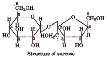 Biomolecules