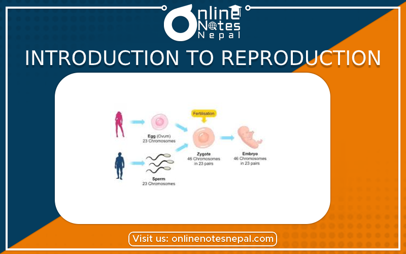 Introduction to Reproduction in Class 10 Science