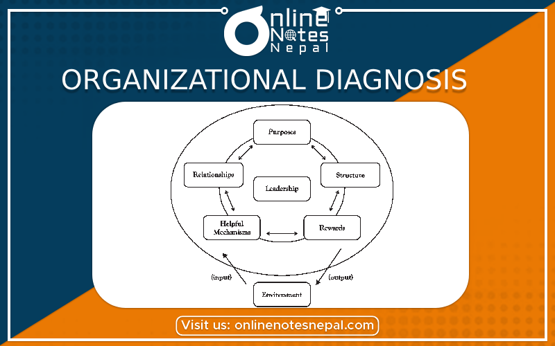 Organizational diagnosis