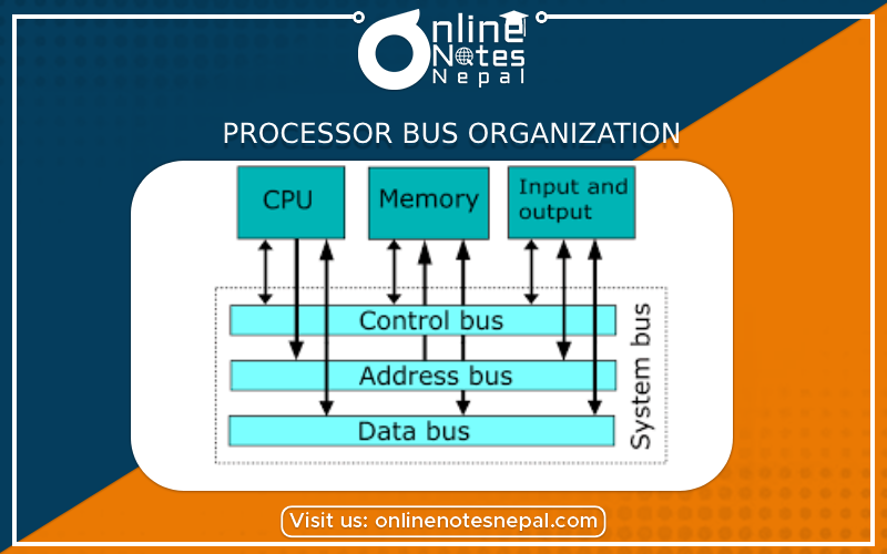 Processor Bus Organization