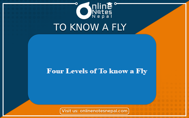 Four Levels of To know a Fly