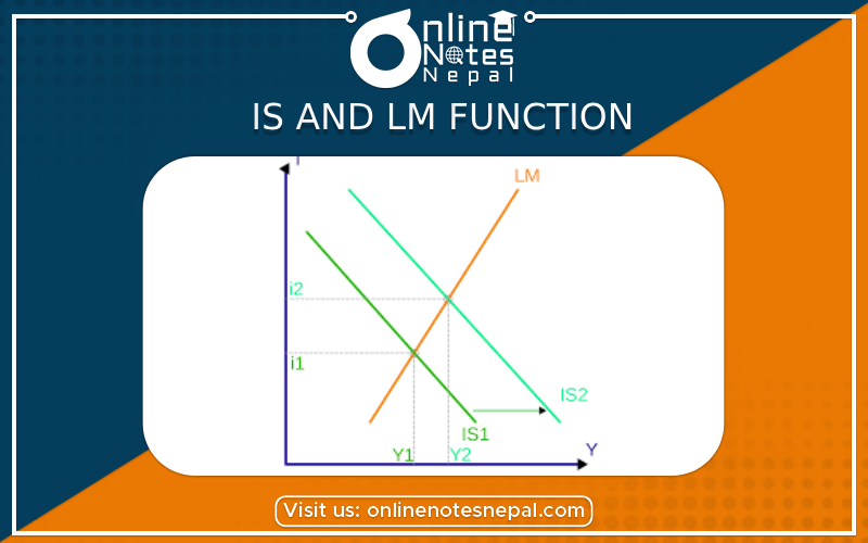 IS and LM function