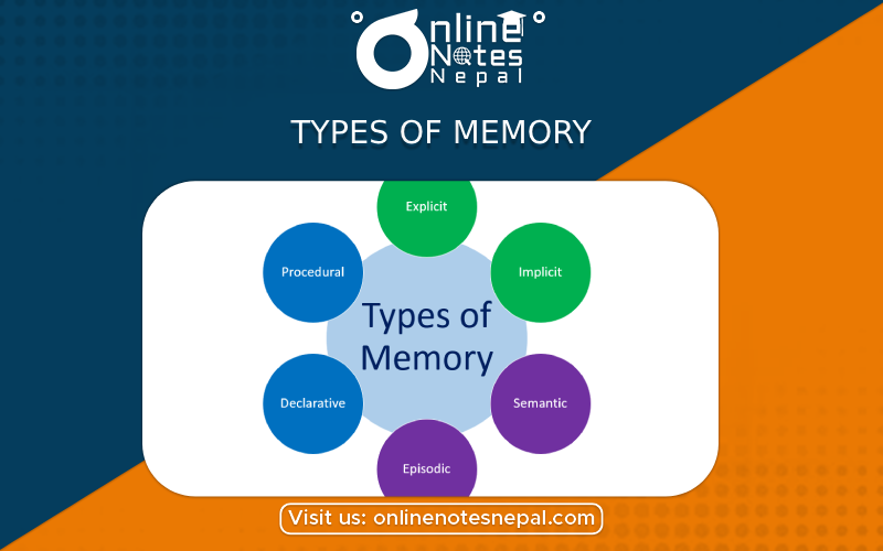 Types of memory | Online Notes Nepal