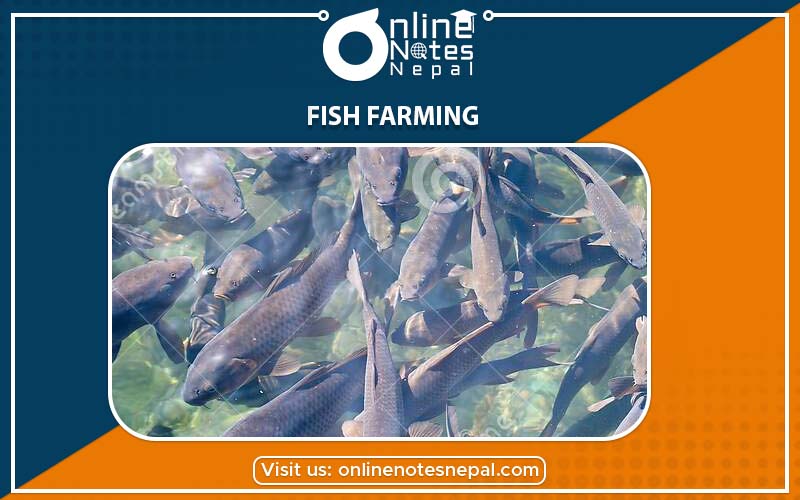 Fishery in Animal Husbandry in Grade-7, Reference Note