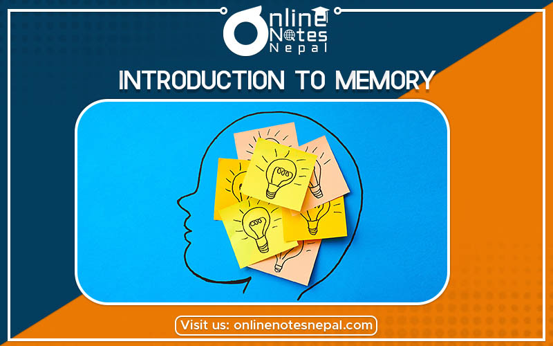 Introduction to Memory Photo
