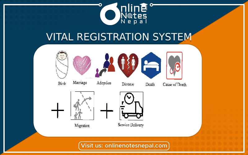 Vital Registration System in Grade 9