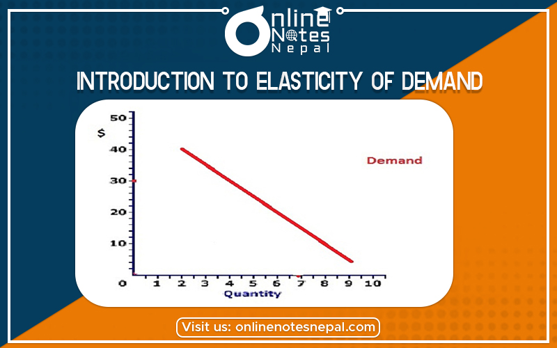 Introduction to elasticity of demand  in Grade 12