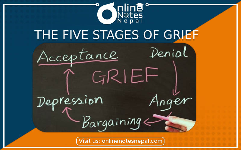Four Levels of The Five Stages of Grief photo