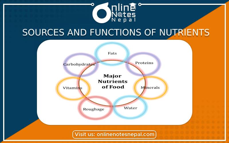 Sources and Functions of Nutrients in Grade 7 HPE, Reference notes