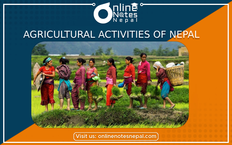 Agricultural Activities of Nepal in Grade 6