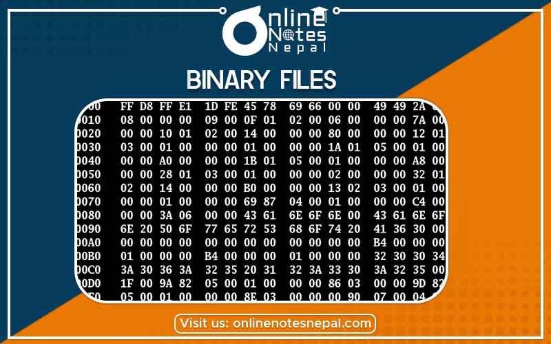 Binary Files Photo