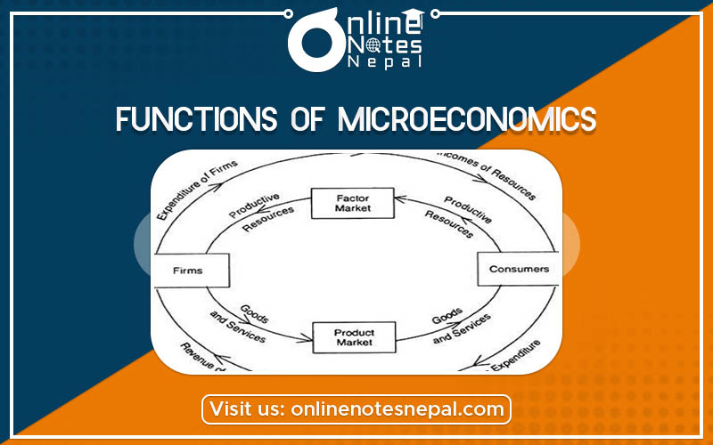 Function of Microeconomics Theory Photo