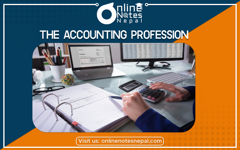 The Accounting Profession- photo