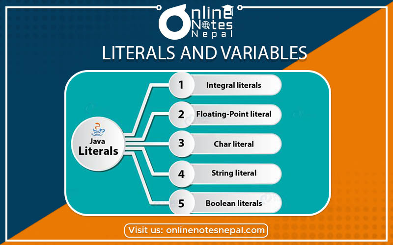 Literals and Variables  photo
