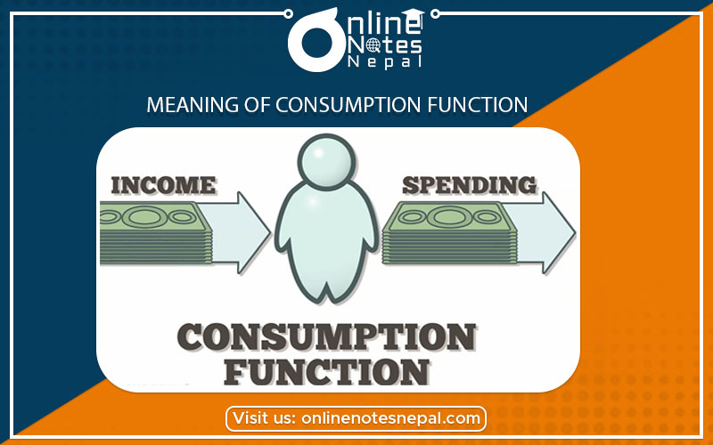 Meaning of Consumption Function  photo
