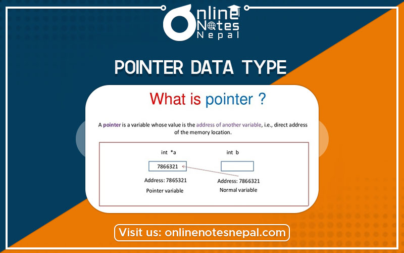 Pointer Data Type Photo