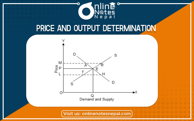 Price and Output Determination Under Perfect Competition Market in Grade 12 Economics