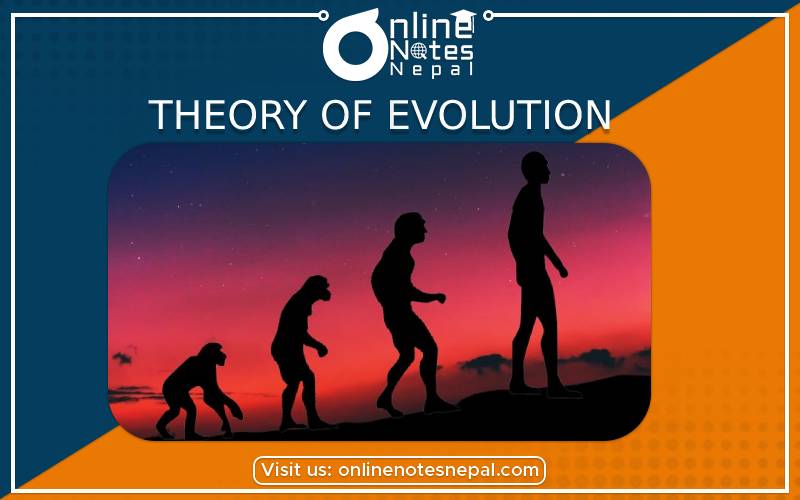 Theory of evolution in Grade 9 Science, Reference Notes
