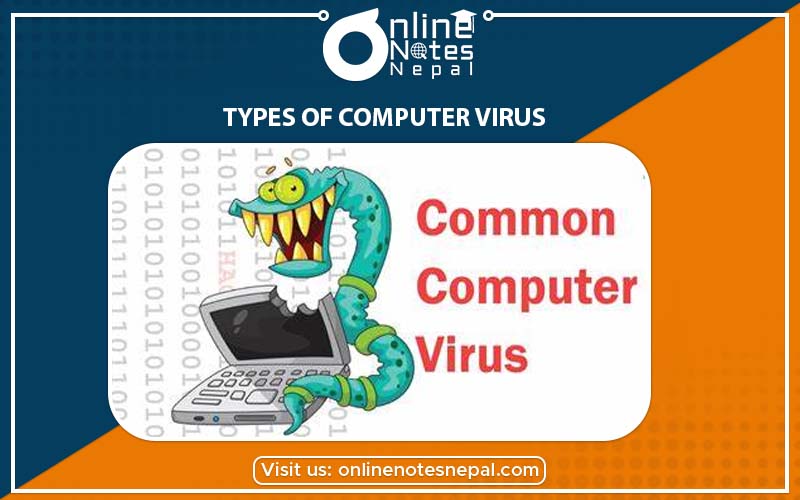 Computer Virus in Grade-8, Reference Note