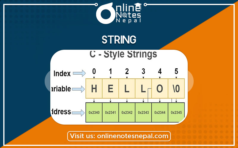 Introduction to String Photo
