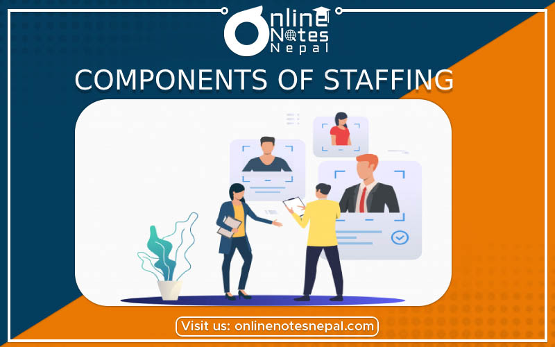 Components of Staffing Photo