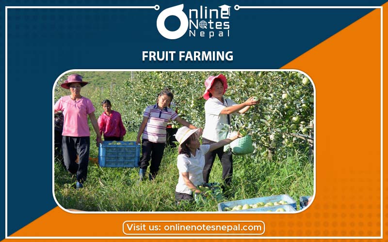 Fruit Farming in Occupation Business and Technology in Grade-7, Reference Note