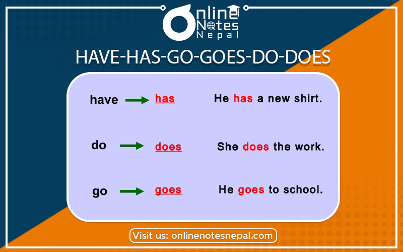 Have-Has-Go-Does-Do-Does in Class 10 English Example