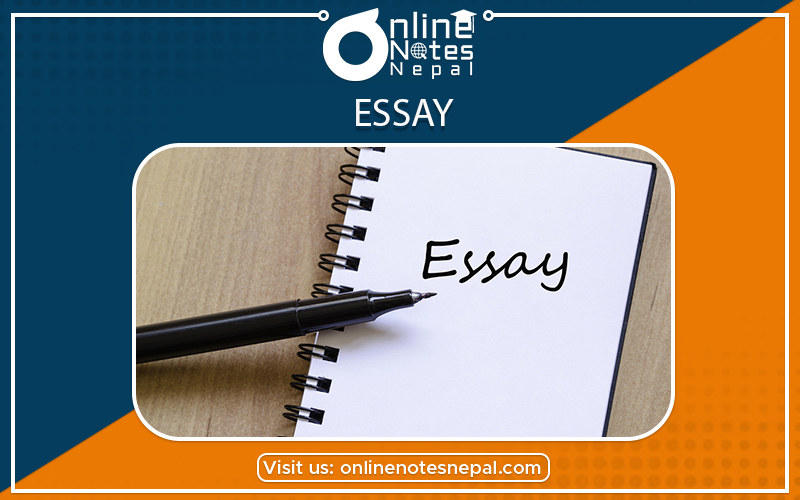 Essay in Class 10 English Example