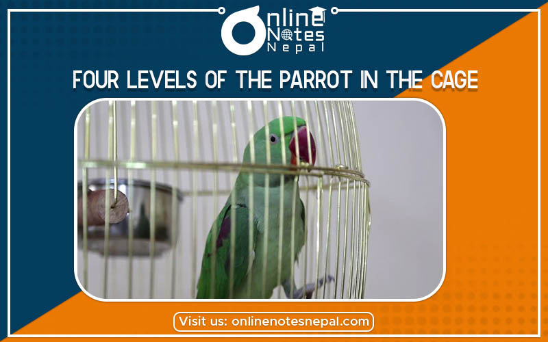 Four Levels of The Parrot In The Cage photo