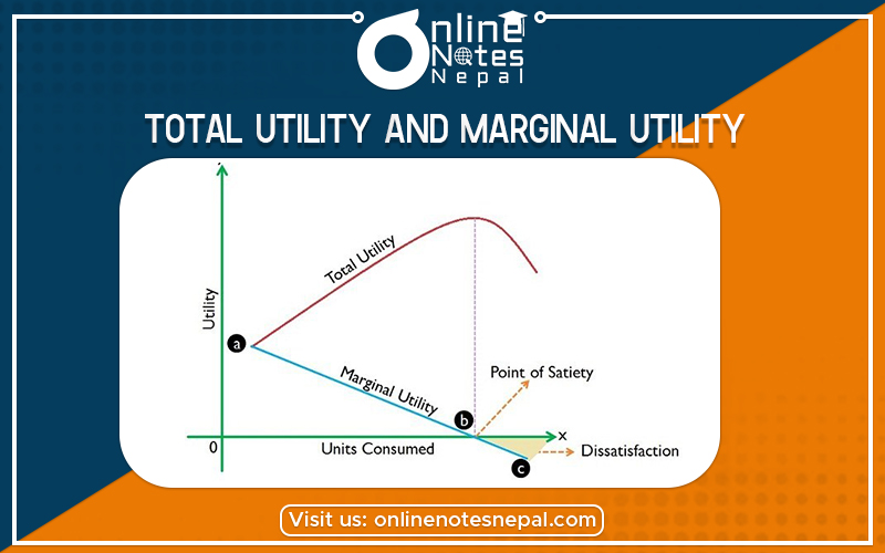 The Relation Between Total Utility and Marginal Utility in Grade 12