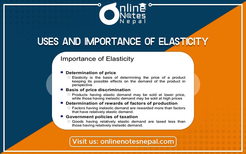Uses and Importance of Elasticity Photo