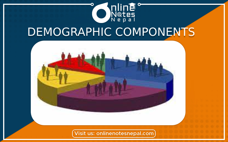 Demographic components and basic demographic measurement