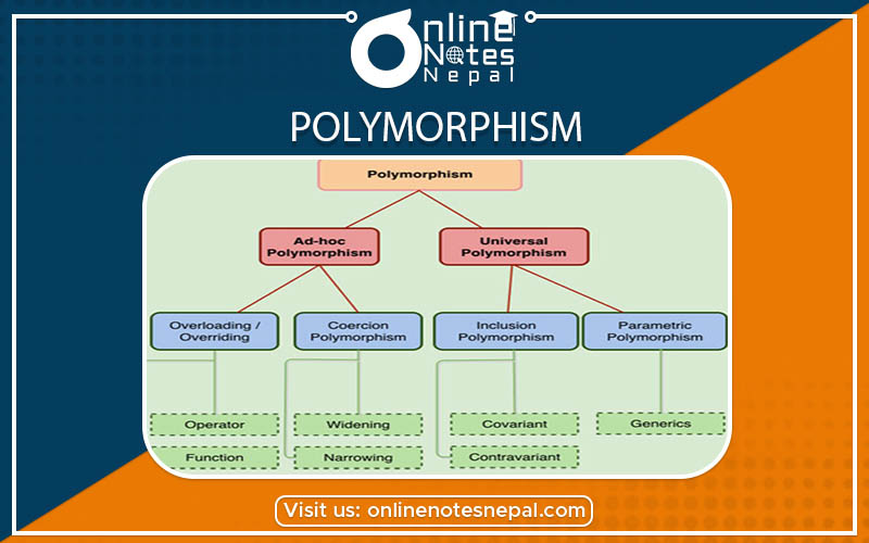 Polymorphism photo