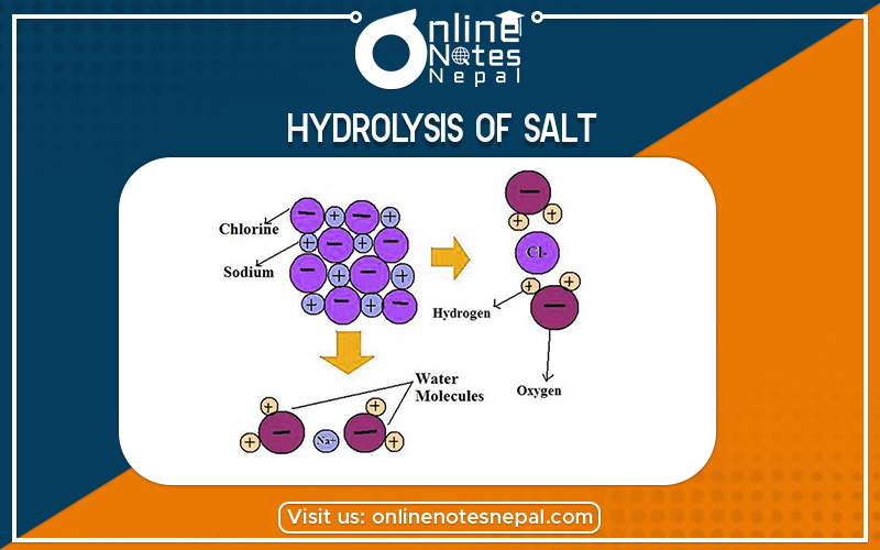 Hydrolysis of Salt  in Grade 12