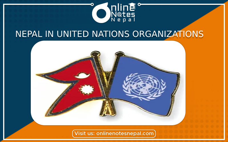 Nepal in United Nations Organizations in Grade 9