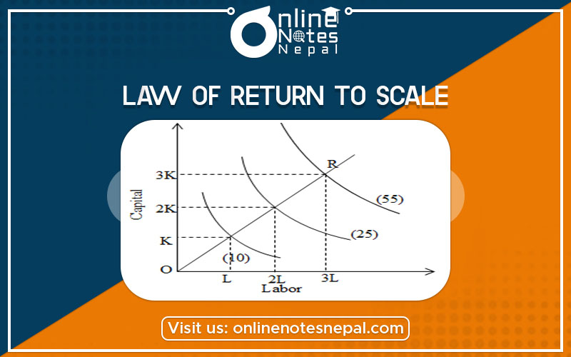 Law of Return to Scale Photo
