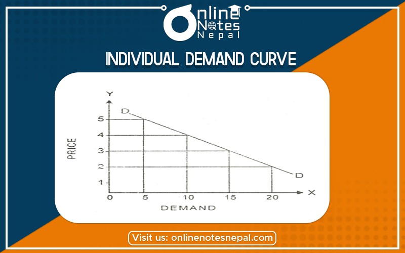 Individual Demand Curve in Grade 12
