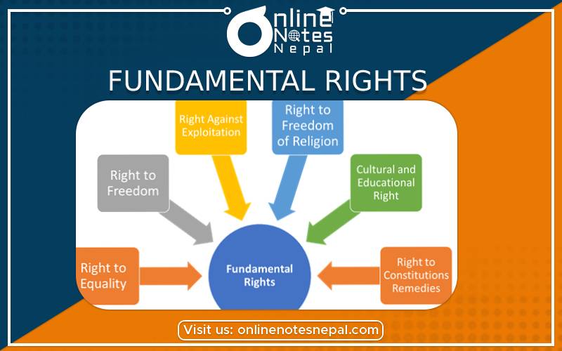 Fundamental Rights in Grade 7 Civics and Moral Education, Reference Notes