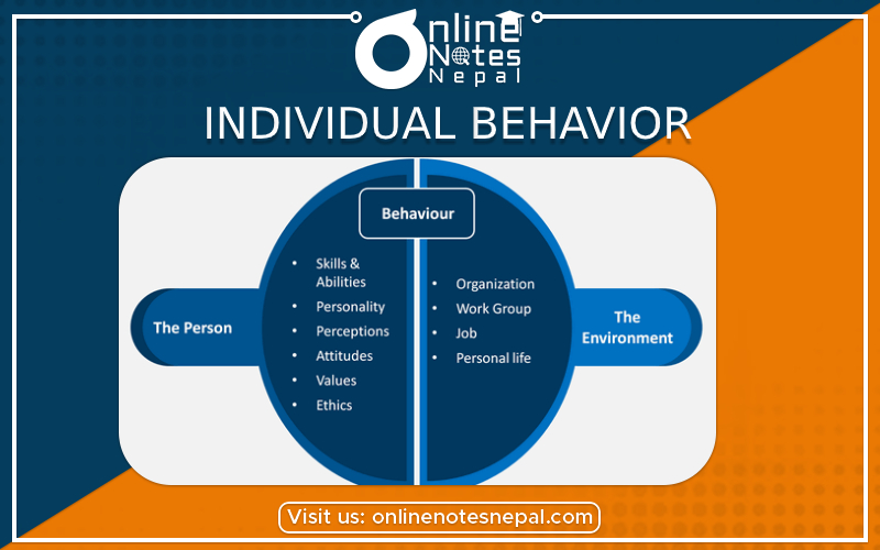 Understanding Individual Behavior - Photo